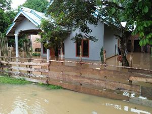 Sungai Meluap, Banjir Rendam Dusun di Bungo Jambi
