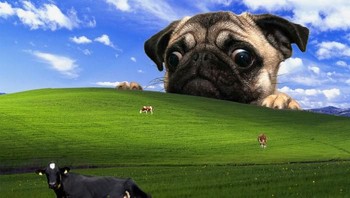 Nah yang ini dipenuhi hewan-hewan dengan anjing raksasa.  Foto: Boredpanda