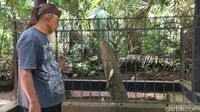 Bah Daday menjelaskan mitos yang beredar (Dadang/detikTravel)