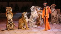 Hal ini dilakukan dengan tujuan bisa memerangi penganiayaan terhadap hewan sirkus yang meluas.
