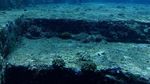 Foto: Inikah Bukti Atlantis Ada di Selatan Jepang?