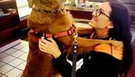 Foto: Anjing yang Gemar Peluk Orang di New York