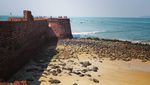 Foto: 9 Pantai Cantik di Goa, India Hasil Jepretan Warganet