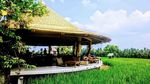 Ada Pemandangan Sawah hingga Sungai Menyejukkan di 8 Kafe Ini