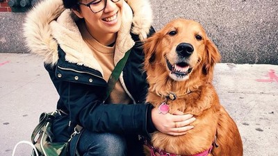 Foto: Anjing yang Gemar Peluk Orang di New York