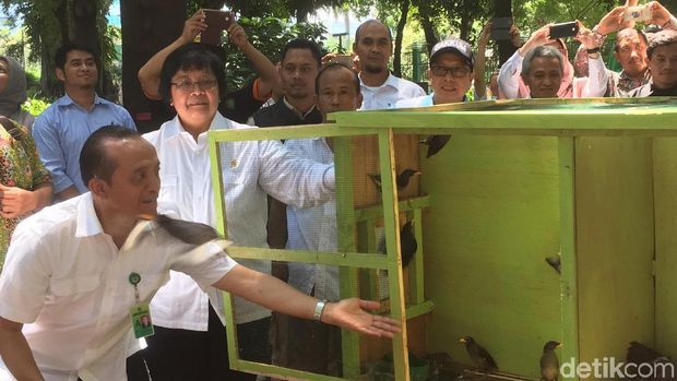 Menteri Siti Tanam Bunga Bangkai di Hutan Kota Kantor KLHK
