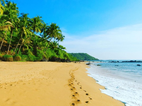 Pantai Colva berada di selatan Goa, 4 km dari Kota Margao. Pantai ini punya pasir selembut tepung, berwarna putih, dan pohon-pohon kelapa di pinggirnya.(soorajmallathaquri27/Instagram) Pantai Colva berada di selatan Goa, 4 km dari Kota Margao. Pantai ini punya pasir selembut tepung, berwarna putih, dan pohon-pohon kelapa di pinggirnya.(soorajmallathaquri27/Instagram)