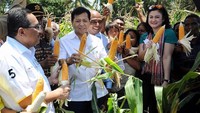 Oktober 2017 lalu Setnov memperingati Hari Pangan Sedunia dengan panen jagung. Ia memamerkan jagung yang baru saja dipetik. Foto: Instagram @s.novanto