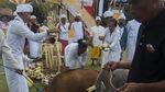 Foto: Umat Hindu Bali Kurbankan Rusa Jelang Hari Raya Nyepi