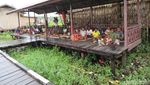 Potret Keseharian Warga Asmat Terkini