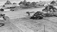 Atap pabrik tersebut sengaja dibuat seperti kota kecil di AS lengkap dengan rumah dan pohon buatan. Istimewa/Vintag.