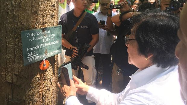 Menteri Siti Tanam Bunga Bangkai di Hutan Kota Kantor KLHK