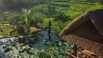 Ada Pemandangan Sawah hingga Sungai Menyejukkan di 8 Kafe Ini