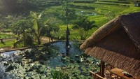 Karsa Kafe yang berada di Jalan Bangkiang Sidem, Campuhan, Ubud ini patut dikunjungi. Dengan suasana sunyi khas desa tradisional Bali, Anda bisa mencicip makanan enak sambil melihat pemandangan lereng bukit hijau hingga kolam teratai. Foto: @claireswilson.