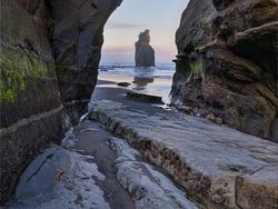 Melihat Lebih Dekat Vivo V9 yang Mirip iPhone X