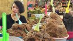 Ini 10 Bukti Dewi Dee Lestari Suka Ngopi dan Jago Masak