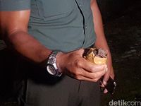 Giyo Kaget Temukan Granat Aktif Dalam Rumah Pensiunan TNI