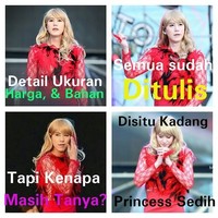 Princess sedih kalau pembeli tidak membudayakan membaca sebelum tanya. Foto: Instagram