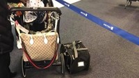 Hingga akhirnya anjing jenis bulldog itu mati setelah 3,5 jam penerbangan dari Houston ke New York.   
