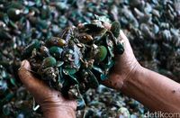 Mau Belanja Seafood Segar? Ini yang Perlu Anda Perhatikan