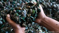 Nelayan mengolah kerang hijau di Kampung Kerang Hijau Cilincing, Jakarta Utara.