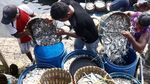 Geliat Nelayan di TPI Cilincing