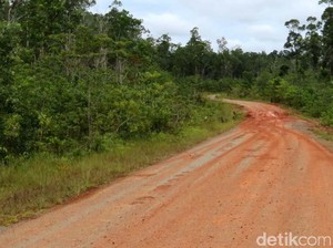 Diganggu Kelompok Bersenjata, Proyek Jalan Trans Papua Tersendat