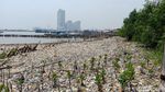 Potret Lautan Sampah di Teluk Jakarta