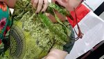 Dasteran dan Hobi Makan Pete, Ini Gaya DJ Butterfly Saat Makan