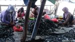 Ini Lho Pusat Kerang Hijau di Jakarta