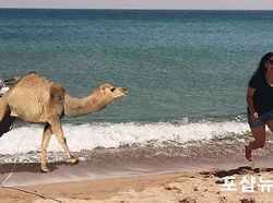 Karya Kocak Pakar Photoshop yang Wujudkan Semua Permintaan (II)