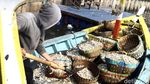 Geliat Nelayan di TPI Cilincing