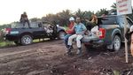 Momen Harimau Bonita Muncul Lagi dari Semak-semak