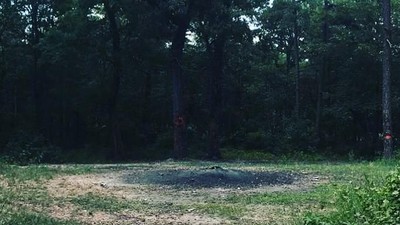 Foto: Hutan Ini Konon Tempat Setan Menari