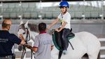 Foto: Hotel Mewah di Qatar... Tapi Untuk Kuda