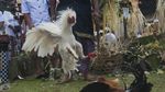 Melihat Prosesi Jelang Nyepi di Beberapa Daerah Indonesia