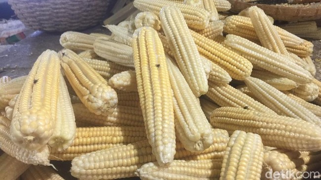 Jagung Surplus 12 Juta Ton, Kok Mau Ada Impor?