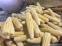 Jagung Surplus 12 Juta Ton, Kok Mau Ada Impor?