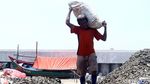 Ini Lho Pusat Kerang Hijau di Jakarta