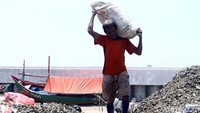 Satu kilogram kerang hijau dihargai Rp 10 ribu hingga Rp 20 ribu, tergantung ukuran dan kualitas.