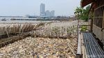 Before After Lautan Sampah Teluk Jakarta yang Sedang Dibersihkan