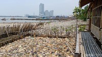 detikcom berkunjung ke kampung nelayan di Muara Angke, Jumat (16/3/2018) siang. Lokasi tumpukan sampah pinggir laut berada persis di samping Kawasan Hutan Manggrove Ecomarine Muara Angke.  (Foto: Eva Safitri/detikcom)