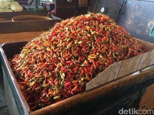 Tips Manajemen Tanam Cabai agar Petani Untung