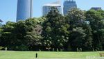 Foto: Tempat Jokowi Olahraga Pagi di Sydney
