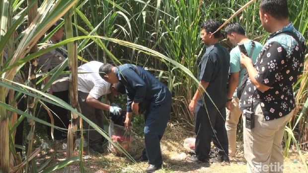 Penemuan jenazah Wakil Ketua DPC PPP di kebun tebu/