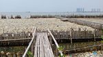 Potret Lautan Sampah di Teluk Jakarta