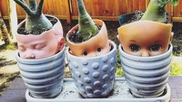 Barang bekas kadang dijadikan buat pot tanaman. Tapi ya jangan kayak begini juga. Istimewa/Boredpanda.