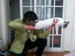 Karya Kocak Pakar Photoshop yang Wujudkan Semua Permintaan