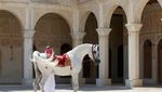 Foto: Hotel Mewah di Qatar... Tapi Untuk Kuda