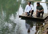 Mayjen Doni Monardo saat mendampingi Presiden Jokowi meninjau revitalisasi Sungai Citarum